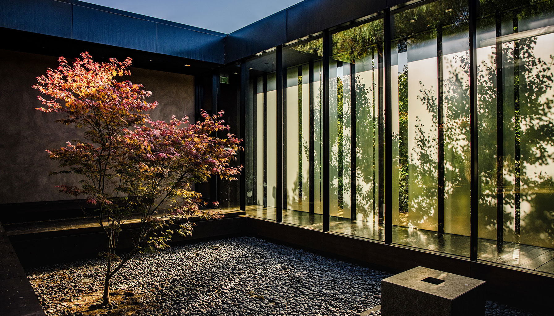 Backyard Makeovers 2025: Outdoor Kitchens, Patios & More